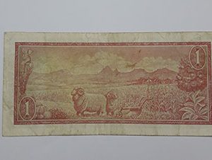 Banknotes Africa