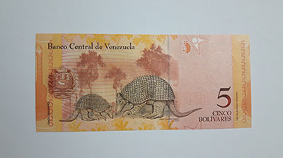 Venezuela banknotes