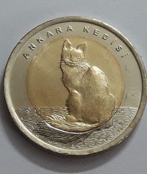 Turkiye coin