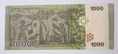 Foreign currency of 1000 Syrian pounds in 2013-hdh