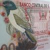 Sao Tome foreign banknote, beautiful and rare design of 2010-ghg