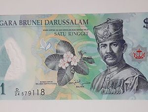 Foreign banknotes of beautiful and rare design of Brunei country-hjk
