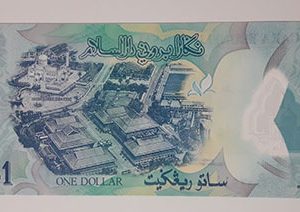 Foreign banknotes of beautiful and rare design of Brunei country-kjh