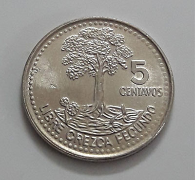 Guatemala Small Size Collectible Foreign Coin 2008-ikk