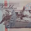 Foreign banknote of the beautiful design of Suriname-cdl