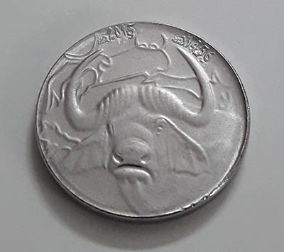 Rare Algerian cow design collectible coin q12 fd