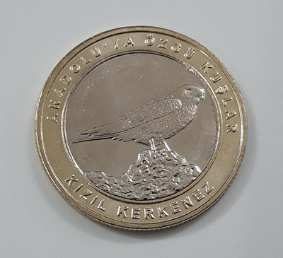 Foreign collectible double commemorative bird coin of Turkey 2019 (middle part of nickel coin and round rice coin)-zrr