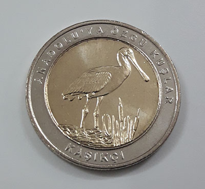 Foreign collectible commemorative coin of two birds of Turkey in 2019 (middle part of rice coin and nickel coin round)-zbb