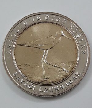 Foreign collectible commemorative coin of two birds of Turkey in 2019 (middle part of rice coin and nickel coin round)-zdd