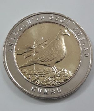 Foreign collectible commemorative coin of two birds of Turkey in 2019 (middle part of rice coin and nickel coin round)-zee