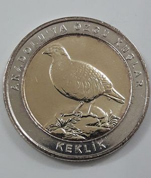 Foreign collectible commemorative coin of two birds of Turkey in 2019 (middle part of rice coin and nickel coin round)-zgg