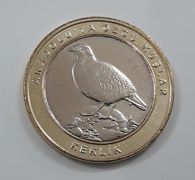 Foreign collectible double commemorative bird coin of Turkey 2019 (middle part of nickel coin and round rice coin)-zoo