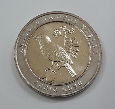 Foreign collectible commemorative coin of two birds of Turkey in 2019 (middle part of rice coin and nickel coin round)-zhh