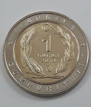 Foreign collectible commemorative coin of two birds of Turkey in 2019 (middle part of rice coin and nickel coin round)-hzh