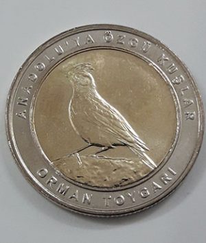 Foreign collectible commemorative coin of two birds of Turkey in 2019 (middle part of rice coin and nickel coin round)-zjj