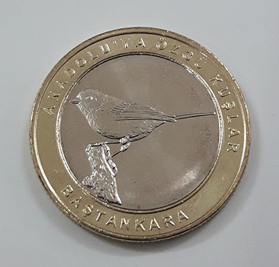 Foreign collectible double commemorative bird coin of Turkey 2019 (middle part of nickel coin and round rice coin)-zxx