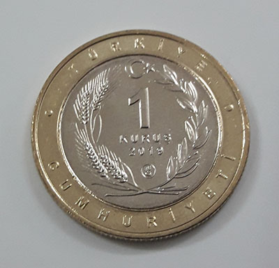 Foreign collectible double commemorative bird coin of Turkey 2019 (middle part of nickel coin and round rice coin)-pzp