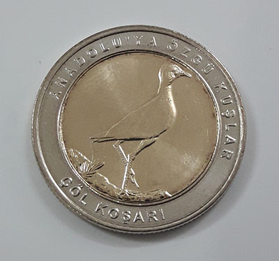 Foreign collectible commemorative coin of two birds of Turkey in 2019 (middle part of rice coin and nickel coin round)-zww