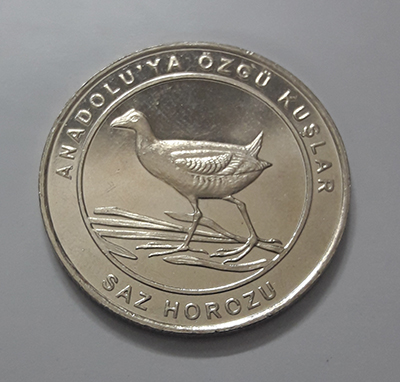 Big size collectible coin turkey bird design nnn