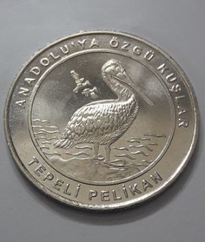 Big size collectible coin turkey bird design mmmm