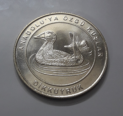 Big size collectible coin turkey bird designmjko