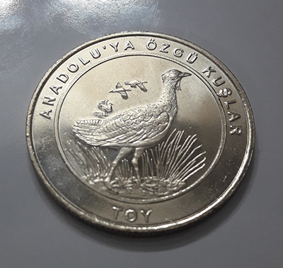 Big size collectible coin turkey bird design haq