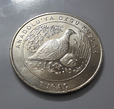 Big size collectibmjhgyle coin turkey bird designدتنه