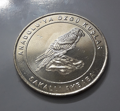 Big size collectible coin turkey bird design 98 ew