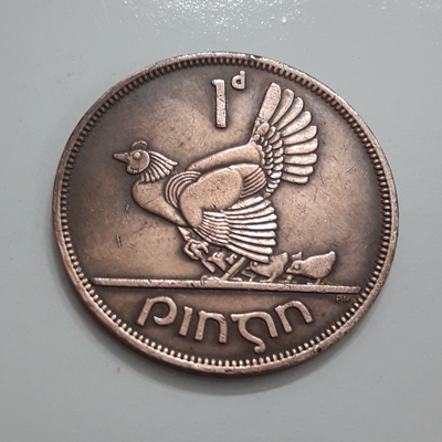 A beautiful and rare collectible Irish coin known as the mother hen coin e3