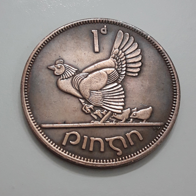 A beautiful and rare collectible Irish coin known as the mother hen coinhhhsw