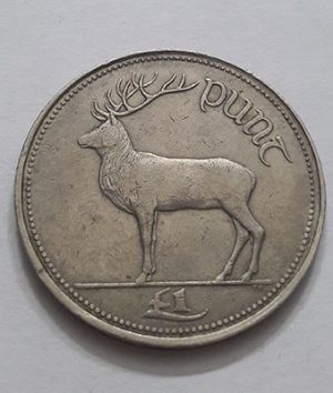 Ireland collectible foreign coin with beautiful and rare rabbit design rysyr