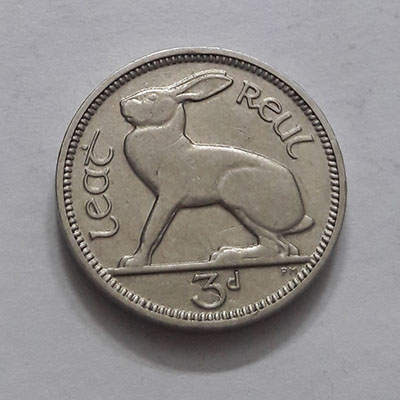 Ireland collectible foreign coin with beautiful and rare rabbit design rhae