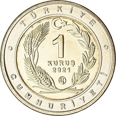Turkish animal commemorative coin with cat design 565